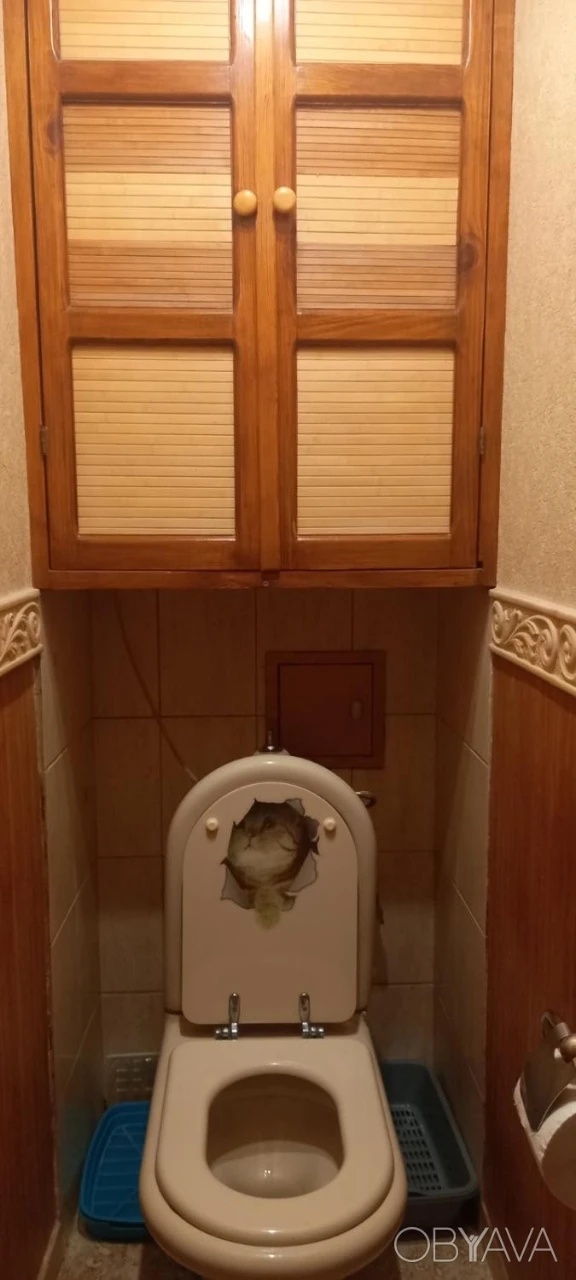 2-комнатная квартира, 50 м.кв.