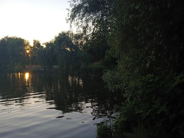 сдам квартиру 3к 72 кв. м. святошино