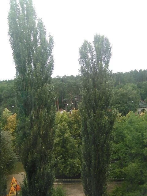 Здам в оренду кімнату на просп. Гонгадзе Георгія 32 довгостр