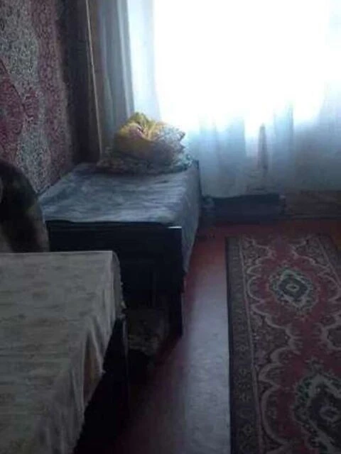 Здам в оренду кімнату на вул. Сержа Лифаря 1 довгостроково •