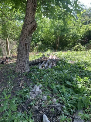For sale Plot for residential development Vuzivskyi