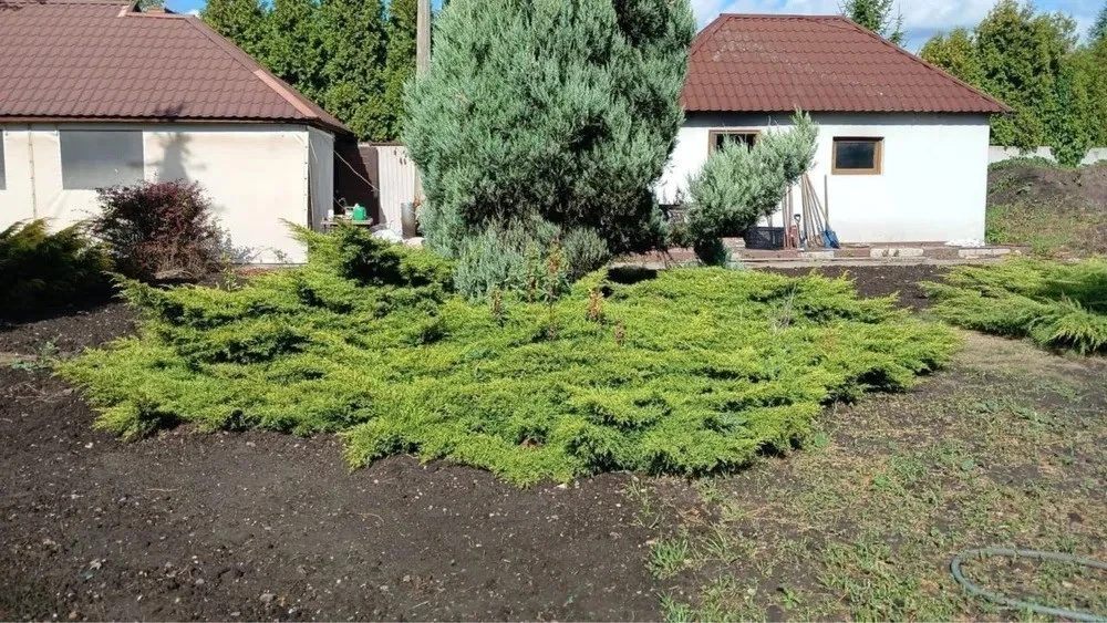 Оренда будинку 507 м², Алімпія Галіка (Малоземельна) вул.