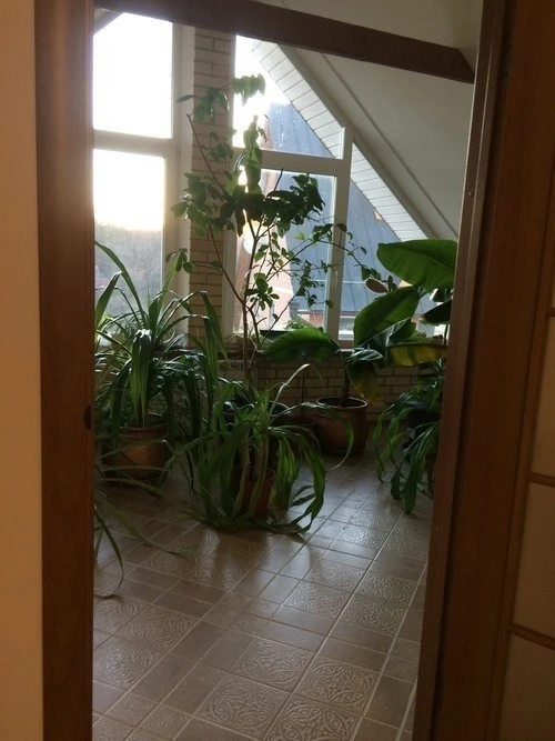 Оренда будинку 475 м², Добрий Шлях вул.