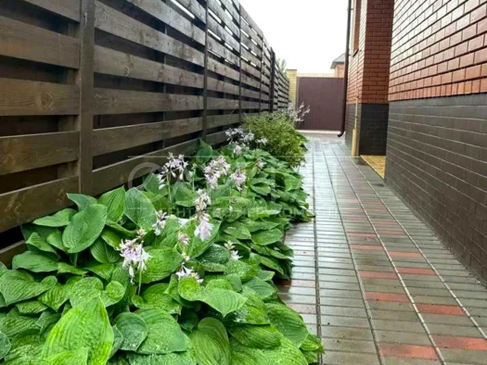 Будинок. Київ, Богатирська вул.