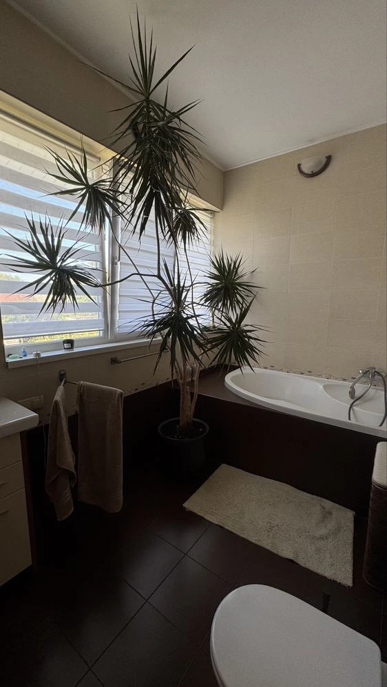 Аренда дуплекса 150 м², 2-й Лермонтова пер.