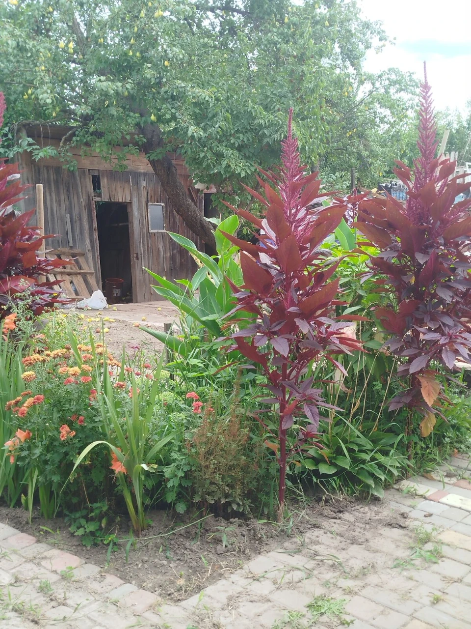 Продаж Частина будинку Кокаричанка