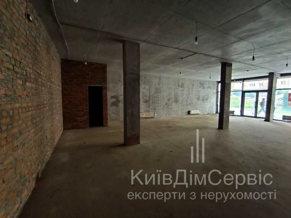 Будинок. Київ, Олександра Олеся вул.