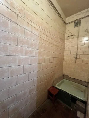 I am selling a 21m2 guest house.
