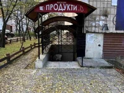 Будинок. Київ, Райдужна вул.