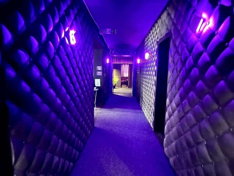 Будинок. Київ, Антоновича вул. (Горького)