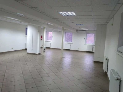Будинок. Київ, Професора Павловського вул. (Боткіна)