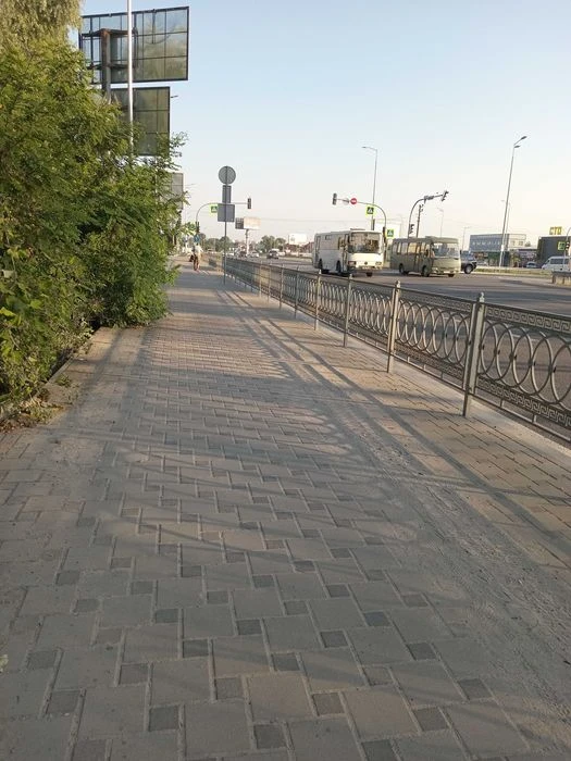 Таун. З електромобілями. З тваринами. метро Теремки Київ - Ж