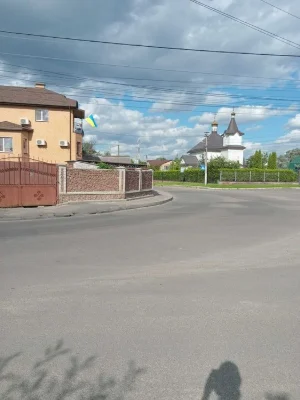 Таун. З електромобілями. З тваринами. метро Теремки Київ - Ж