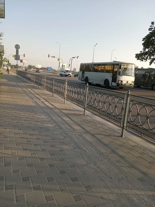 Таун. З електромобілями. З тваринами. метро Теремки Київ - Ж
