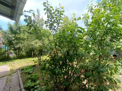 Будинок. Львів, Городоцька вул.