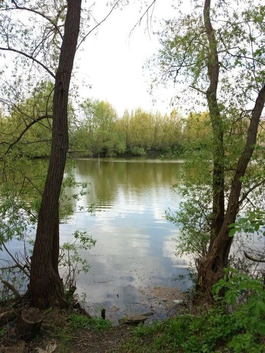 Будинок 67 м² під ремонт на березі ставка, с.