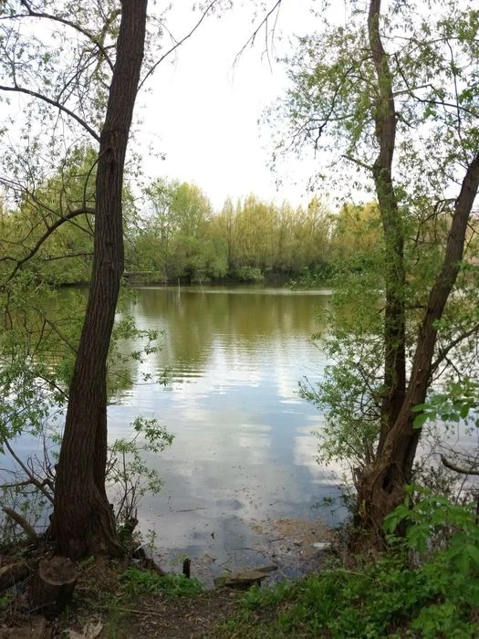 Будинок 67 м² під ремонт на березі ставка, с.