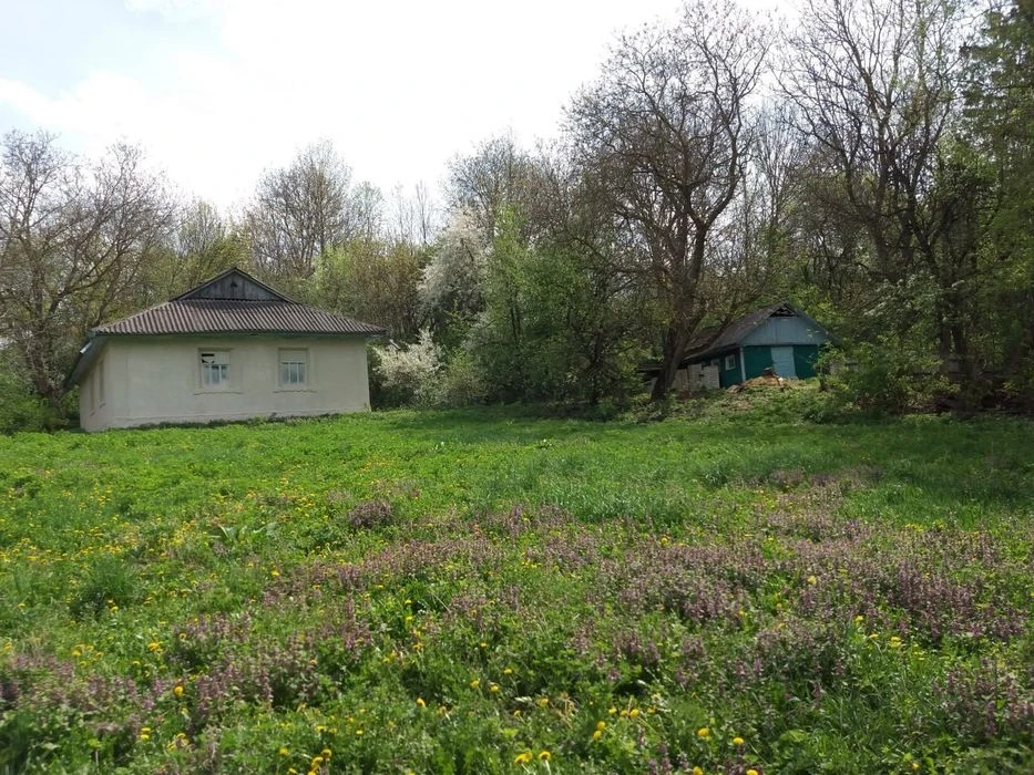 Будинок 67 м² під ремонт на березі ставка, с.