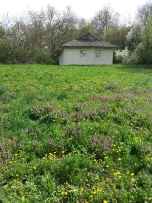 Будинок 67 м² під ремонт на березі ставка, с.