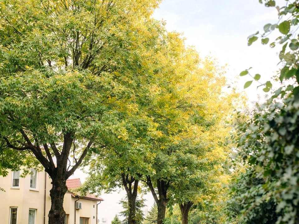 Будинок. Львів, Остапа Луцького вул.