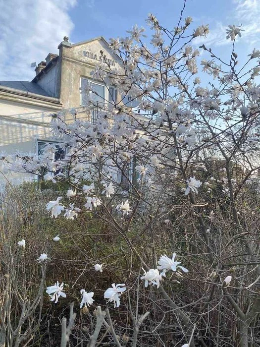 Продаж будинок вул.Іванова Гора (р-н Кривчицька колонія), 10