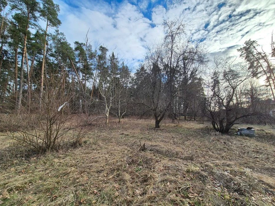Будинок з ділянкою 15 соток. Ворзель