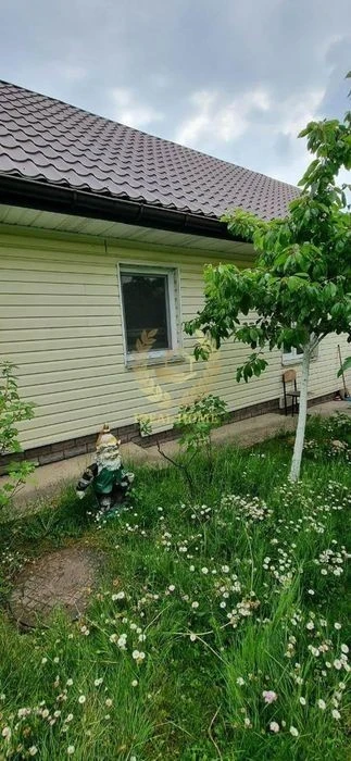 Продаж будинку в Михайлівка - Рубежівка, хутір Красне