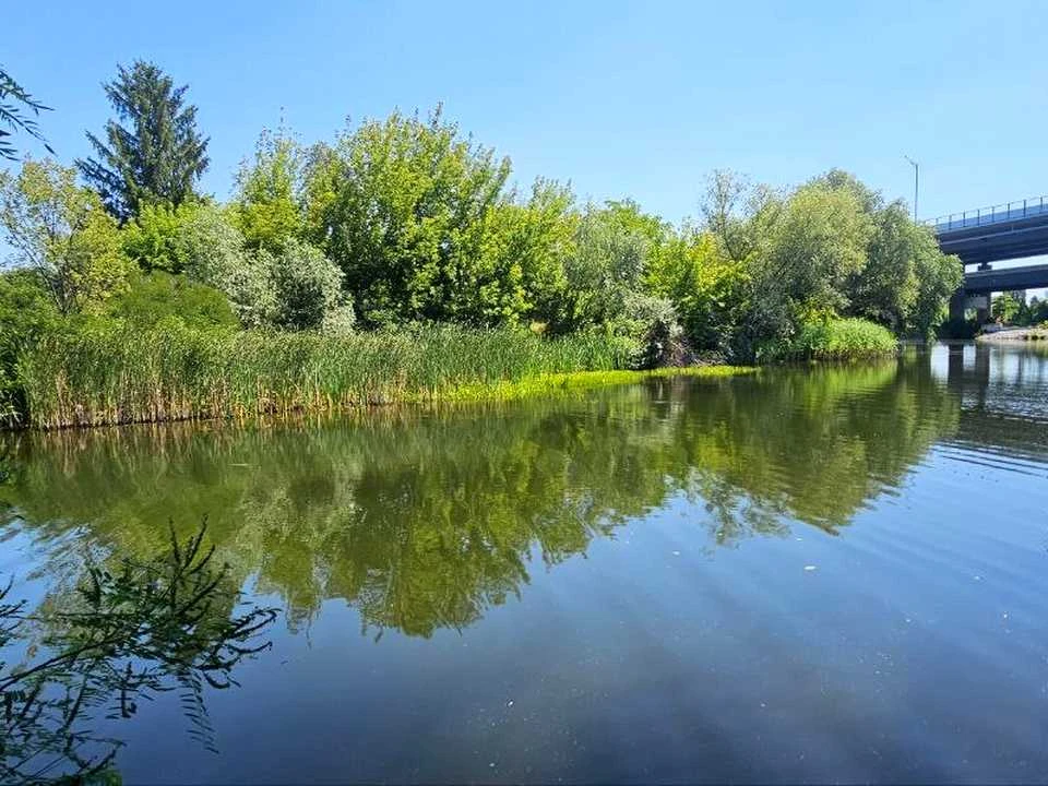 Будинок. Київ, Дамбова вул.