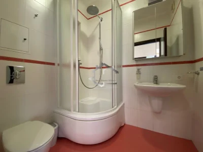 Penthouse for rent, Terrasa Otrada, Langheron residential complex, Haly Park, Shevchenko