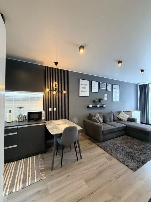 Sale of 1-room apartment with renovation 47m2, village of Kulparkivs