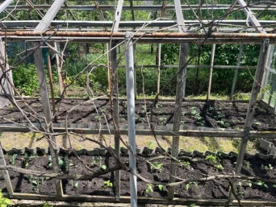 Терміново продаж дачного дому. Осокорки. 5 км до метро Славу