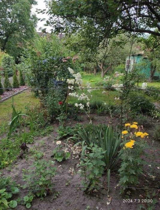 Продам дачу на Осокорках в садовому товаристві, вул. 118- Са