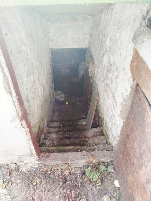 Будинок з великим участком в Києві, на березі озера, Бортнич