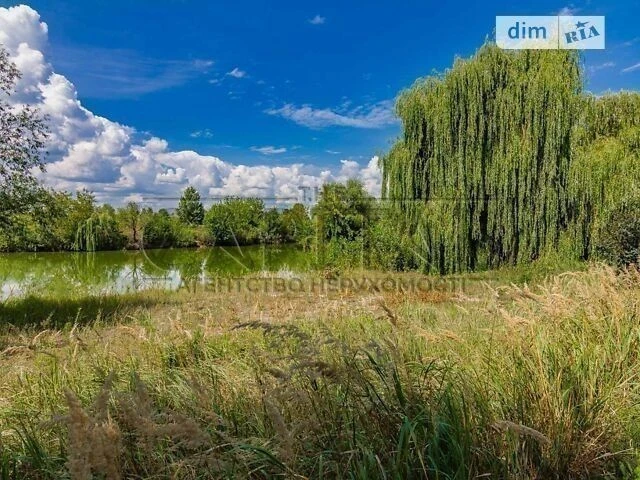 Продаж 1 поверхового будинку з ділянкою на 70 соток, 500 кв.