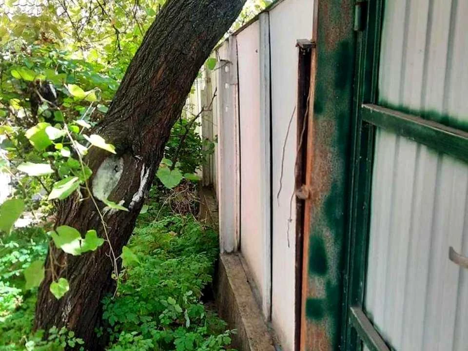 Будинок. Київ, Народна вул.
