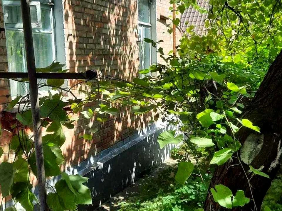 Будинок. Київ, Народна вул.