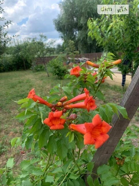 Продаж 2 поверхового будинку з ділянкою на 10 соток, 139.3 к