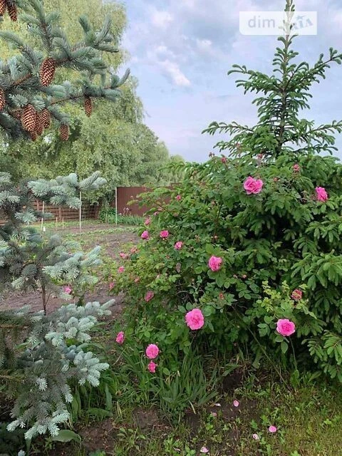 Продаж 2 поверхового будинку з ділянкою на 10 соток, 139.3 к
