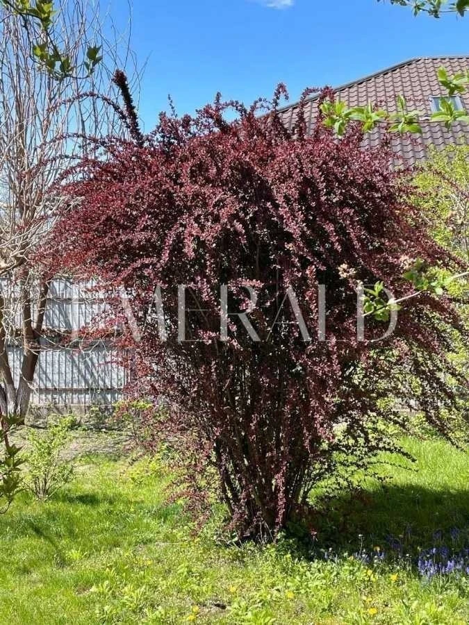 Продаж будинку 218.1 м², Молодіжна вул., 10В