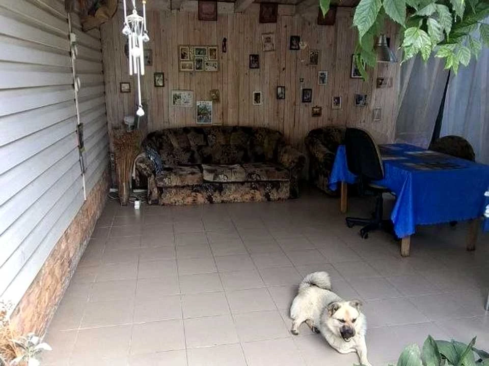 Будинок. Київ, 3-тя Садова вул.