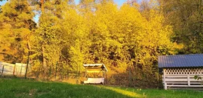Без комісії,Будинок з ремонтом, біля лісу та озера, Бортничі