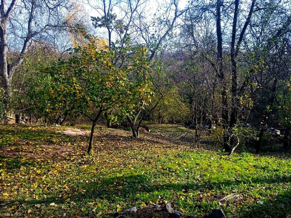 Будинок. Київ, Павла Грабовського вул.
