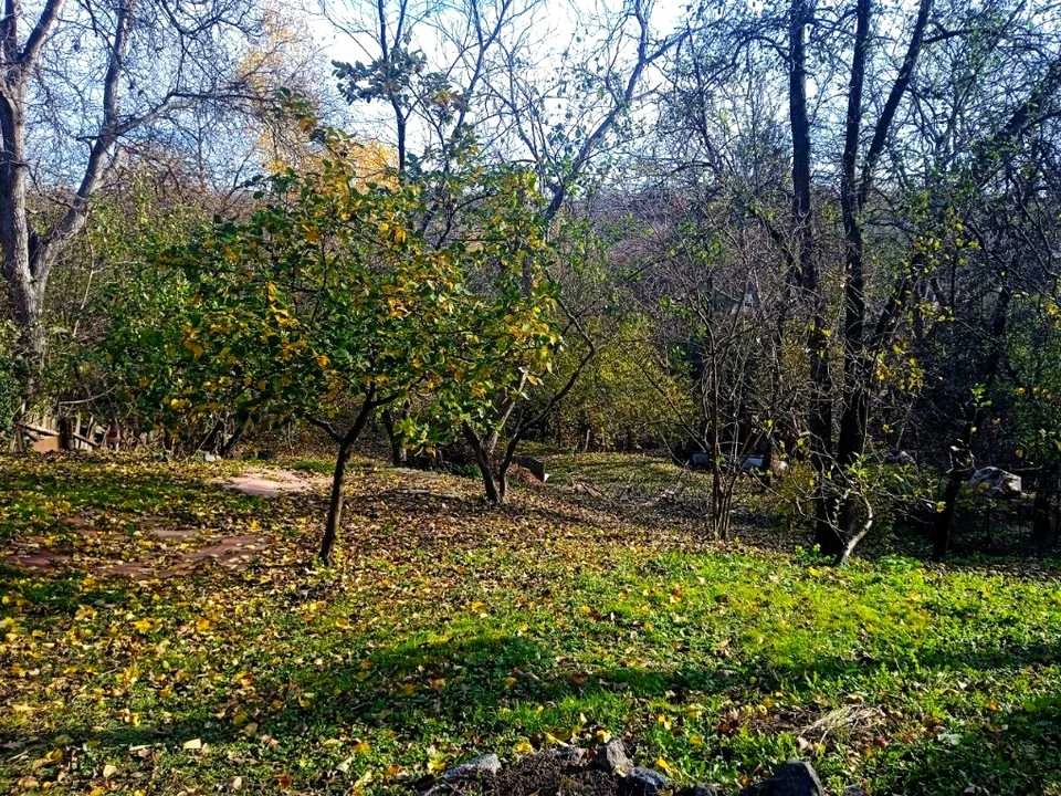 Будинок. Київ, Павла Грабовського вул.