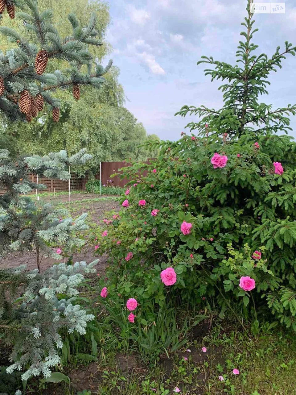 Продаж Дім Жуляни