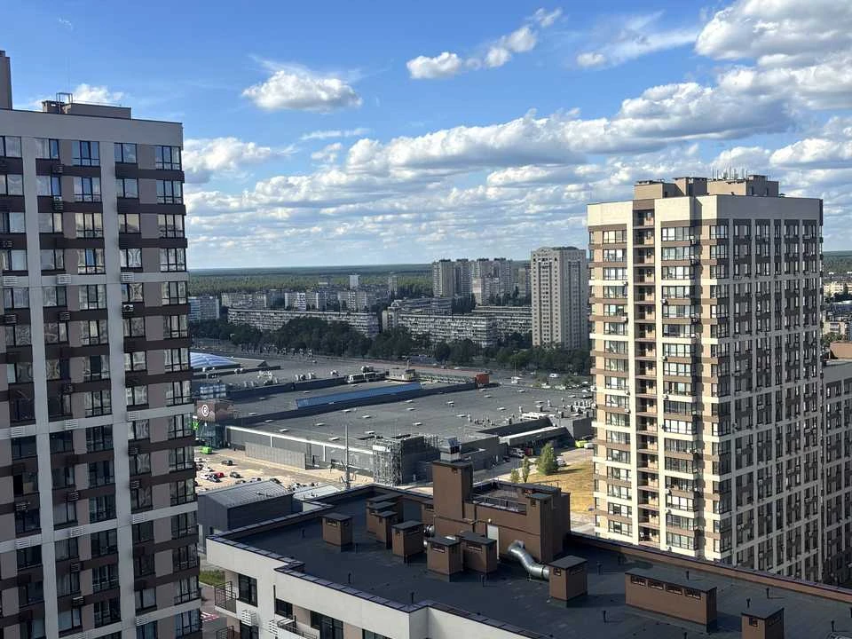 Apartment. Kyiv, Oleksandra Olesia St.