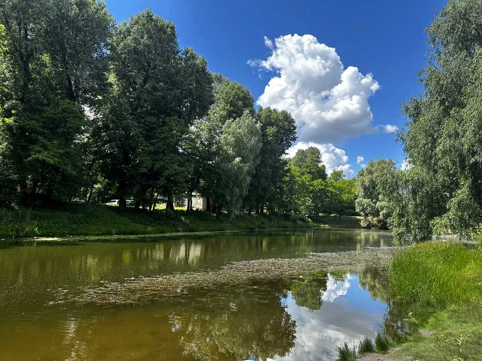 Будинок. Київ, Григорія Гуляницького вул. (Московська)
