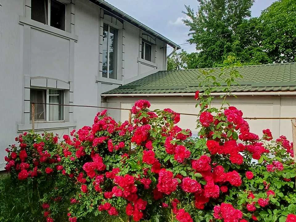 Будинок. Київ, 66-та Садова вул.