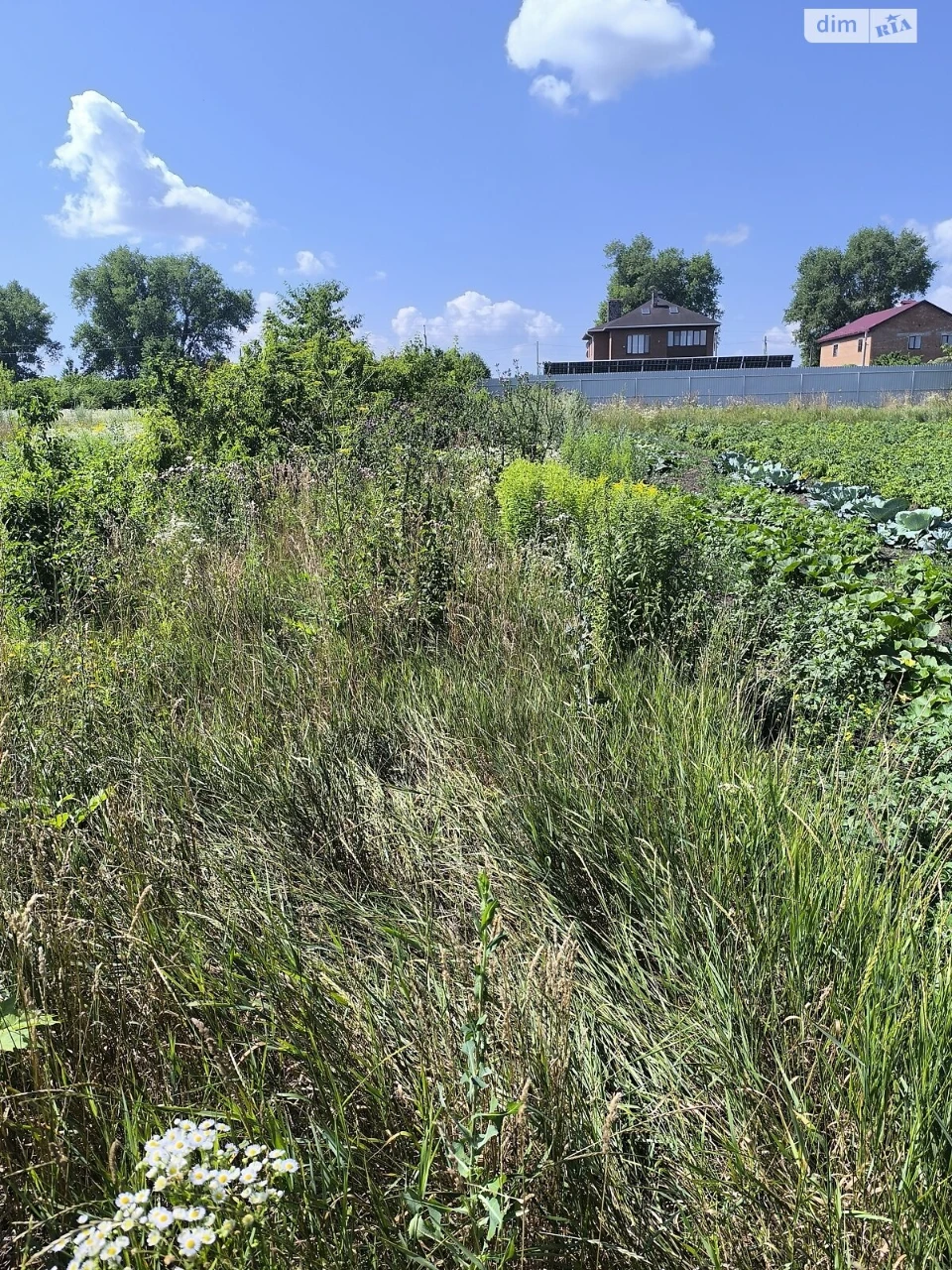 Продаж Земля сільськогосподарського призначення