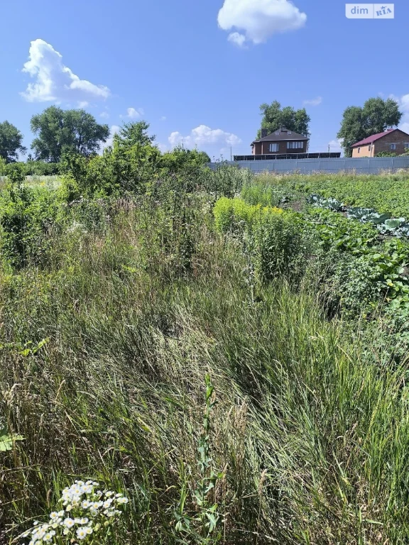 Продаж Земля сільськогосподарського призначення