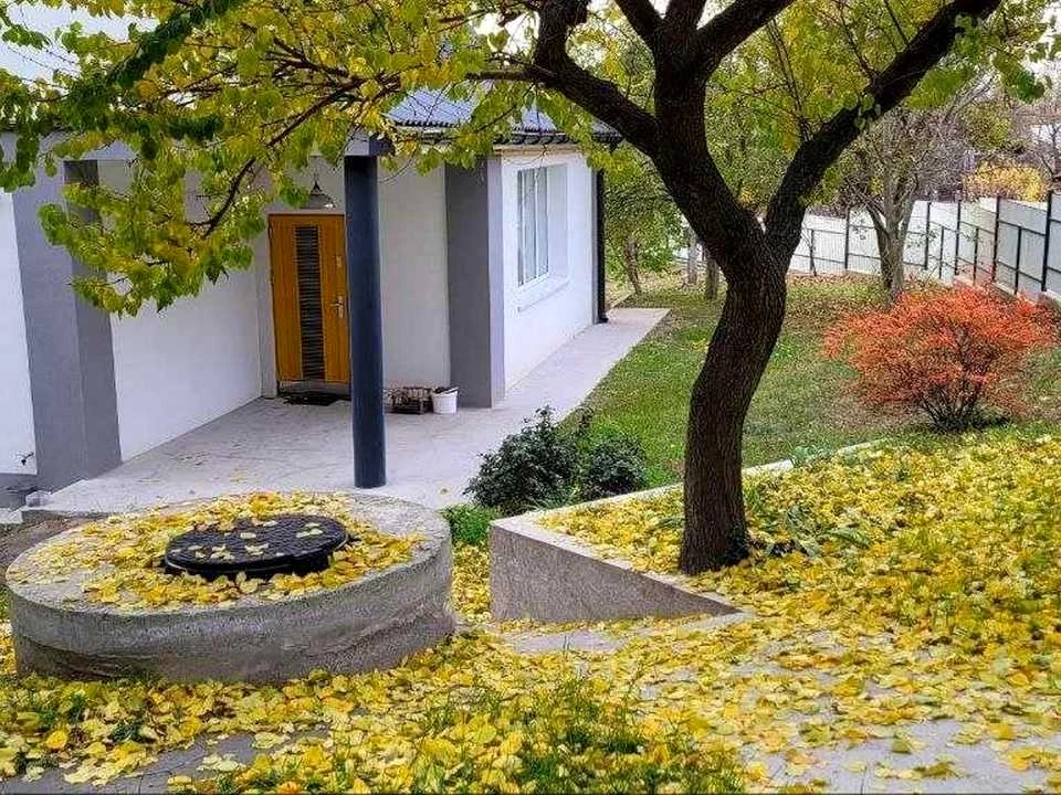 Будинок. Київ, Вітовецька вул. (Лермонтова)